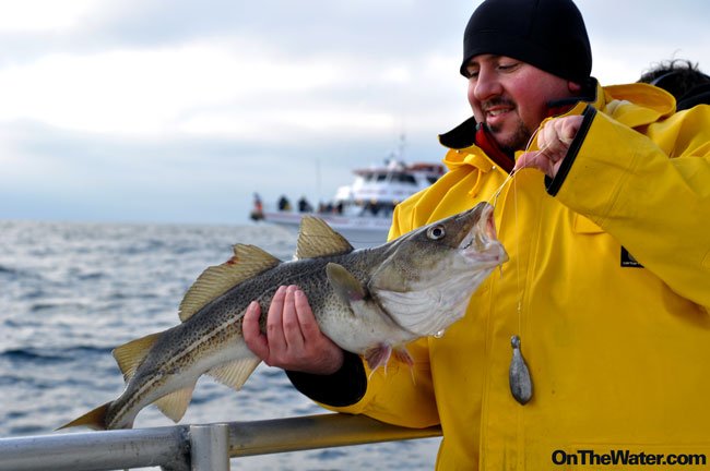 How to Catch Cod Fish: Expert Tips and Techniques