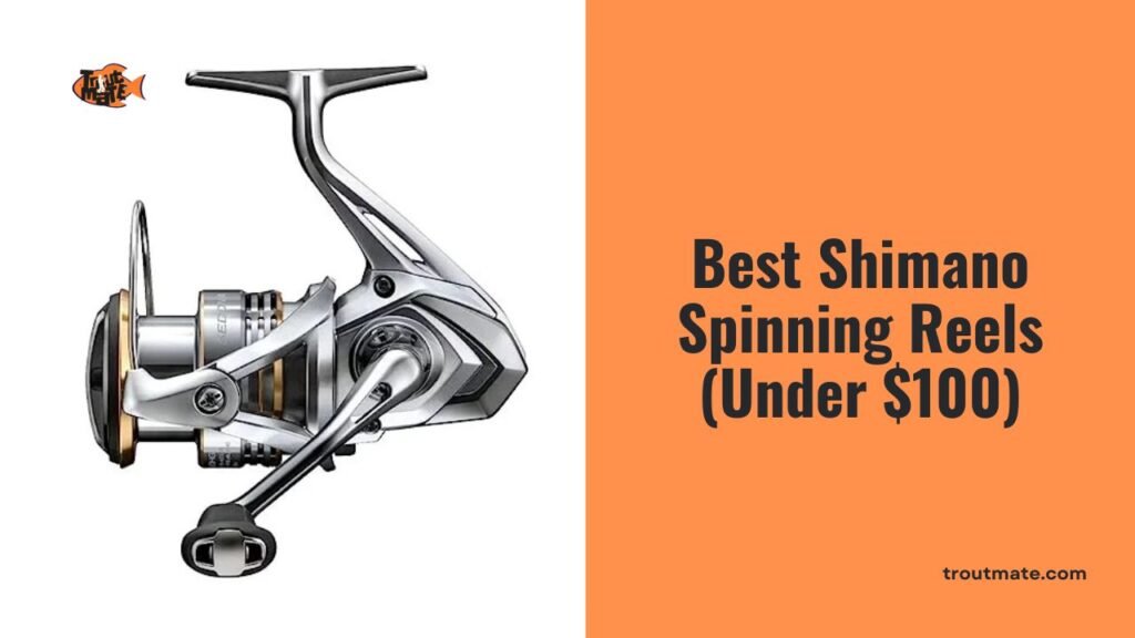 best shimano spinning reels