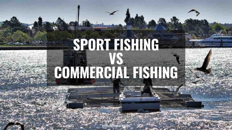 Sport Fishing Vs Commercial Fishing