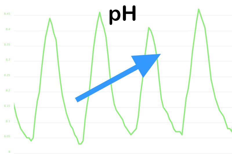 How to Raise Ph in Saltwater Fish Tank