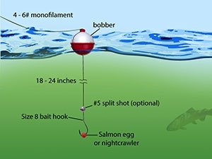 How to Set Up a Fishing Pole for Trout