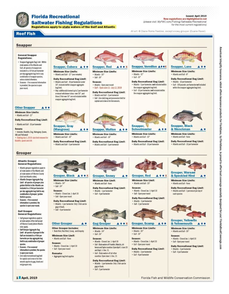 What Saltwater Fish are in Season in Florida Right Now