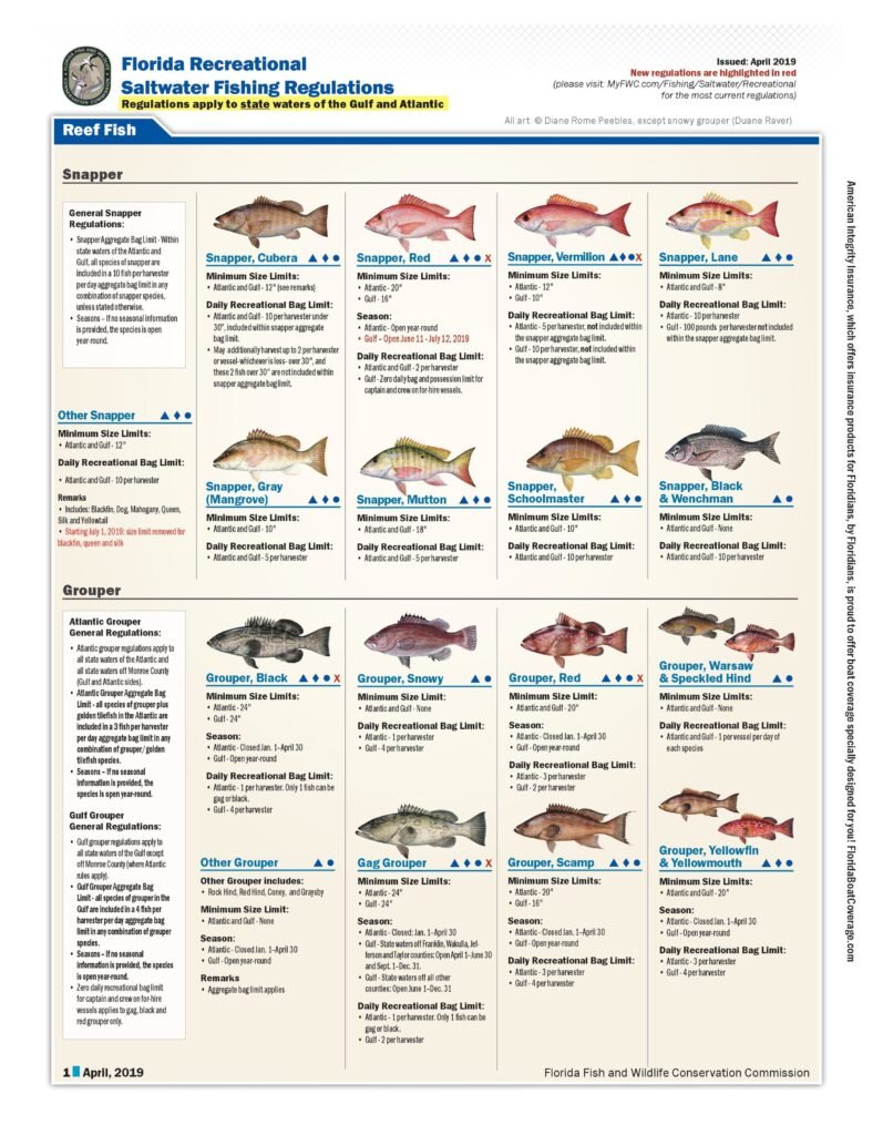 What Saltwater Fish are in Season in Florida Right Now