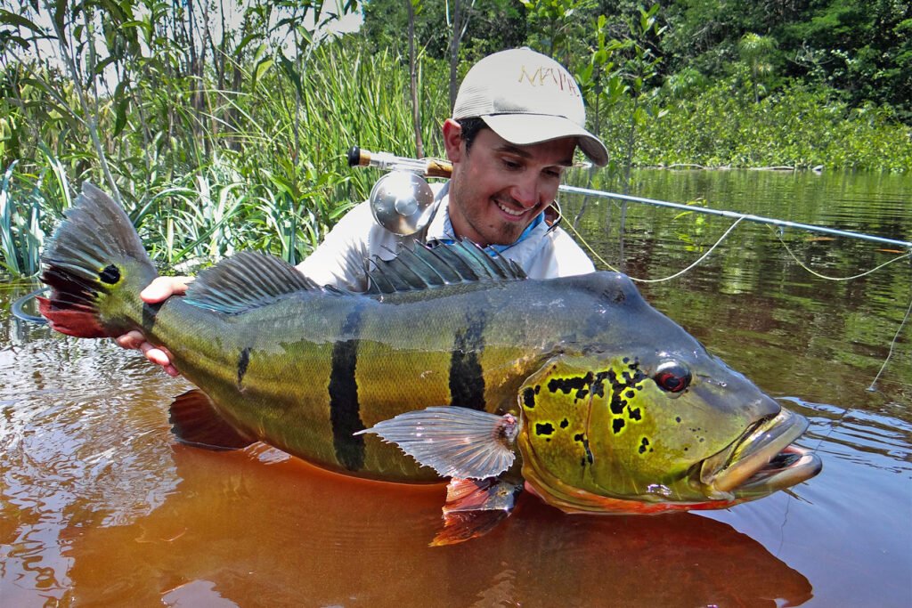 Where to Fish for Peacock Bass