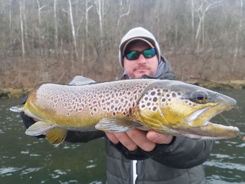 White River Trout Fishing