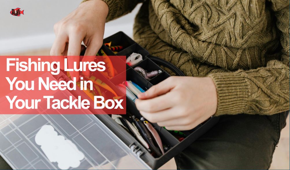Fishing Lures You Need in Your Tackle Box