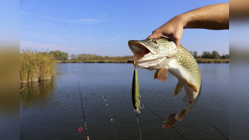 Why is Saltwater Fishing Better Than Freshwater: Top 7 Reasons