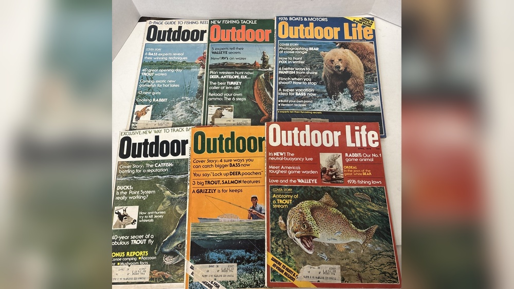 What is the Best Time of Day to Trout Fish: Expert Tips Revealed