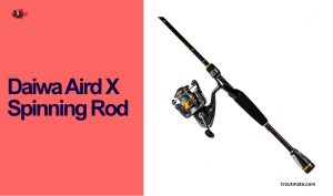 Daiwa Aird X Spinning Rod Review