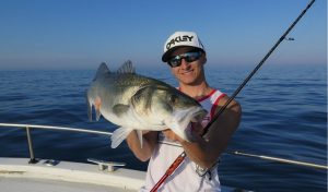 sea bass fishing tips