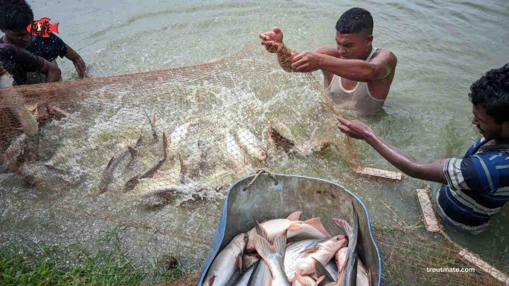 best lakes for freshwater fishing