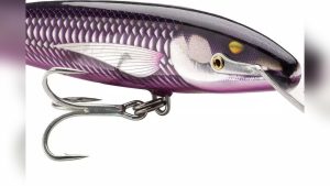Are Lures Good for Saltwater Fishing: Expert Tips & Insights