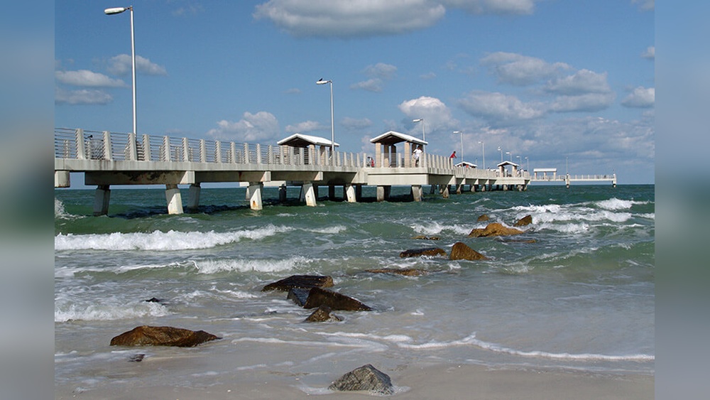 Best Saltwater Fishing on the East Coast: Top Spots to Reel In