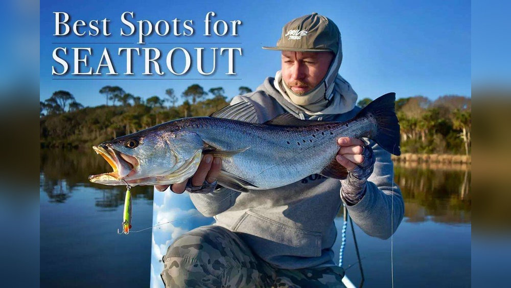 Is Saltwater Fishing Good During a Storm: Uncover the Truth