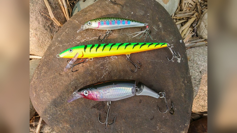 What Bait to Use for Saltwater Shore Fishing: Expert Tips