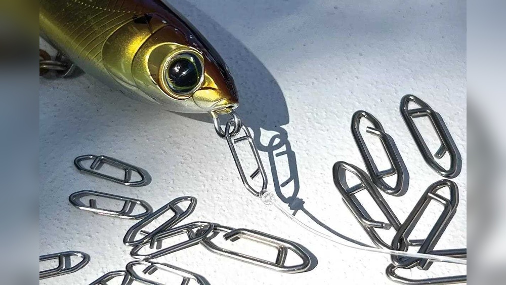 What is the Best Bait for Saltwater Fish: Expert Tips Revealed